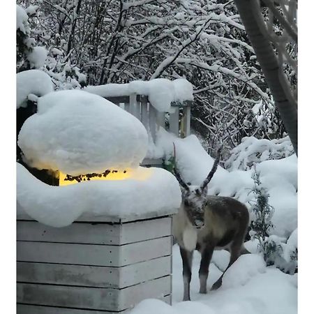 Snowcrystal Home With Jacuzzi And Sauna روفانييمي المظهر الخارجي الصورة